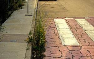 Males herbes als carrers del Vendrell. Eix