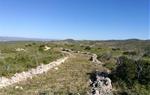 Organitzen una neteja col·lectiva per recuperar el camí ramader de la Talaia. EIX