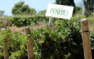 Penedès. Eix