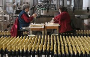 Pla general de dues treballadores embolicant ampolles de cava per la campanya de Nadal. ACN