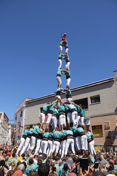 Pla general de la torre de 9 descarregada pels Castellers de Vilafranca a la diada de la Bisbal del Penedès. ACN