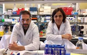 Pla mitjà de Josep Villanueva i Olga Méndez al laboratori del VHIO on han descobert una nova funció d'una proteïna. VHIO