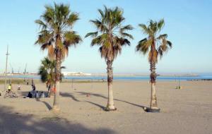 Platja de Ribes Roges. EIX