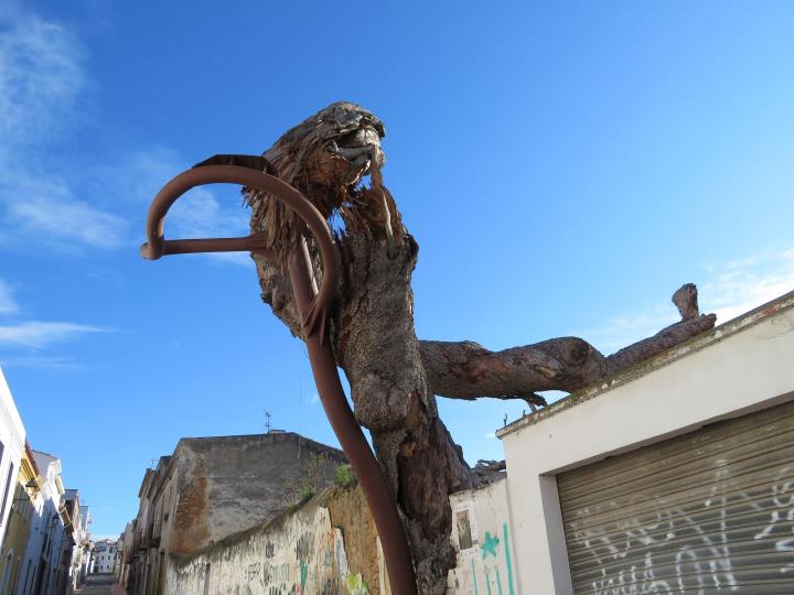 Ribes prepara els actes de commemoració de la caiguda del pi del Carrer del Pi. Ajt Sant Pere de Ribes