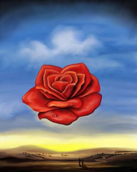 Rosa meditativa. Dalí