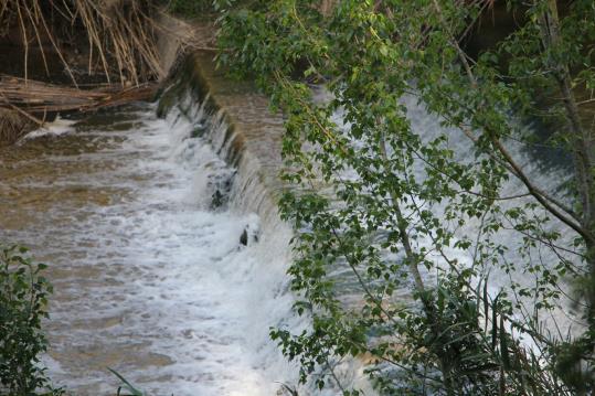 Sant Sadurní alerta del risc per augment del cabal al riu Anoia. Ajt Sant Sadurní d'Anoia