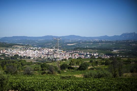 Sant Sadurní d'Anoia. Eix