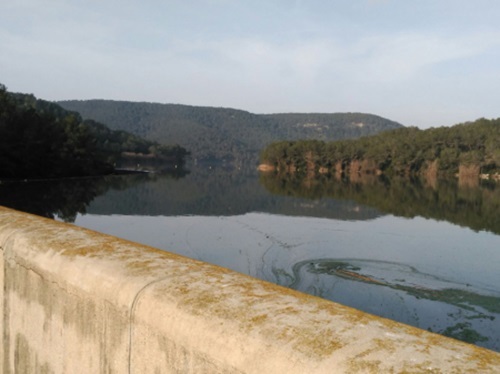 Satisfacció a Cubelles després que l'ACA hagi recollit la petició del cabal ecològic al Foix. Ajuntament de Cubelles