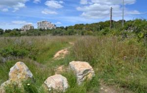 S'inicien les obres del vial d'accés al futur parc de Can Bruguera, a Sitges. Ajuntament de Sitges