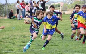 Torneig dels dofins a Sitges