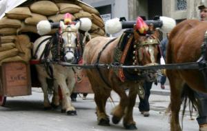 Tres Tombs . Eix