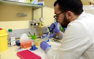 Un estudiant de predoctorat treballant al laboratori del grup de Recerca en Neurotraumatologia i Neurocirurgia del Vall d'Hebron Institut de Recerca. 