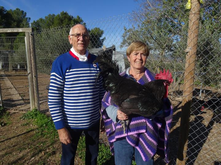 Una de les granges que treballa amb el gall del Penedès és la d'Espitlles de Santa Margarida i Els Monjos. Ramon Filella