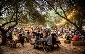A dues setmanes de la sisena edició del Festival Internacional de Vilanova i la Geltrú, Vida, que se celebrarà del 4 al 6 de juliol ja s'han exhaurit 