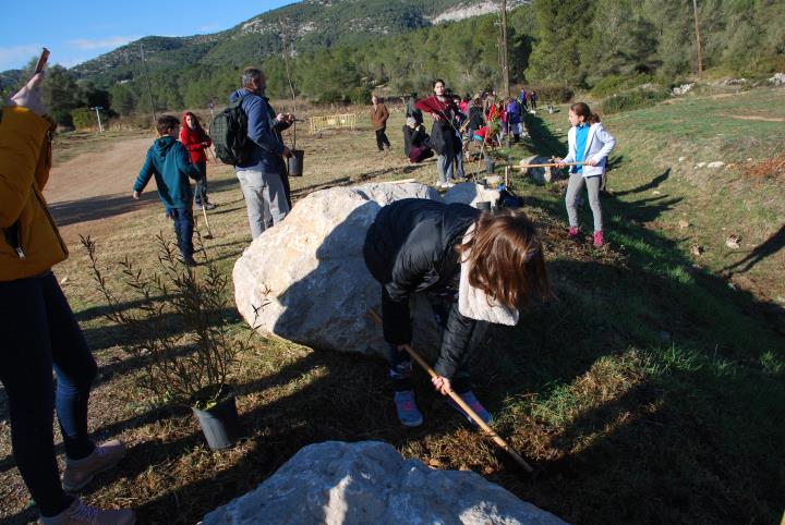 Dia de l'Arbre a Canyelles