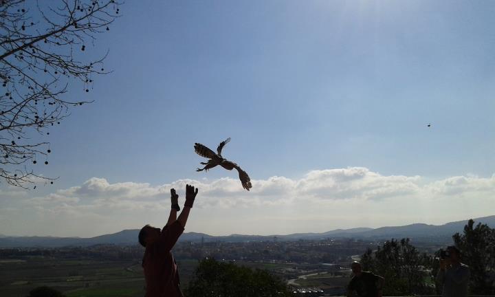 Alliberament d’un rapinyaire a Sant Pau