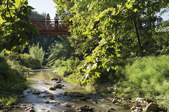 El camí del riu