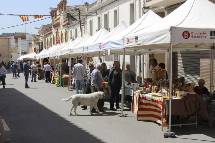 Fira d’Entitats i de Sant Jordi