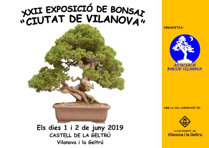 XXII Exposició de Bonsai 