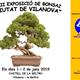 XXII+Exposici%c3%b3+de+Bonsai+%22Ciutat+de+Vilanova%22