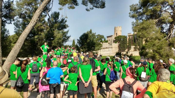 Ribes Camina contra el càncer