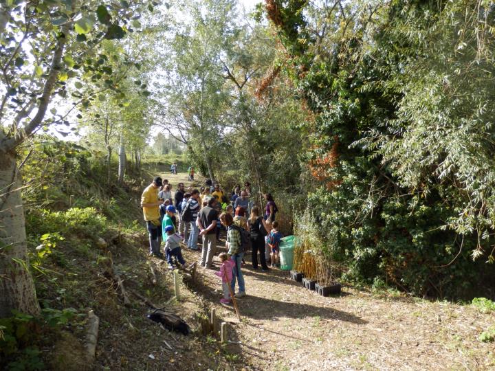 Caminada a la Torre de les Aigües: aigua i patrimoni humà