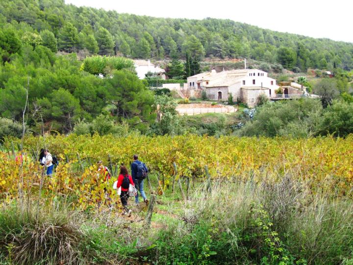 Caminada al Santuari de Santa Maria de Foix