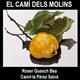 El+cam%c3%ad+dels+molins