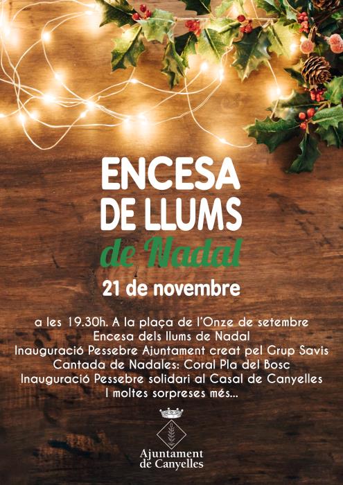 Encesa de llums de Nadal a Canyelles