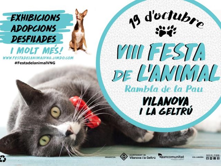 Festa de l'Animal 2019 