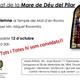 Festivitat+de+la+Mare+de+D%c3%a9u+del+Pilar+al+Mol%c3%ad+d%27en+Rovira