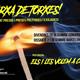 Marxa+de+torxes+a+Vilanova