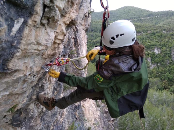 Agent Rural del Grup de Suport de Muntanya (GSM) durant les tasques de retirada del material d'escalada. Generalitat de Catalunya