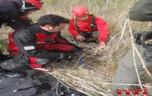Agents rurals rescatant un cabirol que havia caigut en una bassa a Sant Pere de Riudebitlles