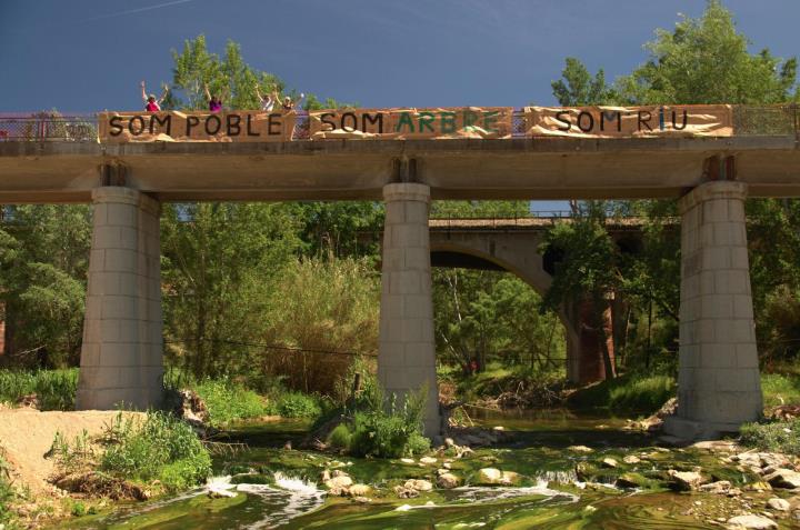 Alerten que les obres d’ampliació del pont de la Font del Claro de Gelida  posen en perill el plataner centenari. Dóna la cara pel riu