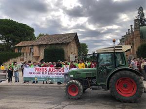 Àmplia participació a la protesta convocada pels viticultors del Penedès en contra dels baixos preus del raïm i del vi per a cava . EIX