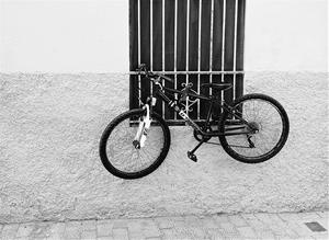 Bicicleta. Lola Rojas