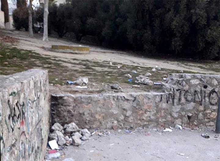 Brutícia al Parc de la Rambla de Sant Sadurní d'Anoia. Eix