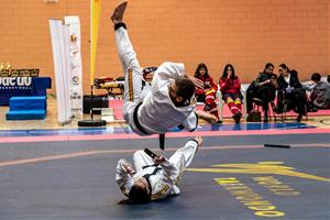 Campionat de Catalunya de Hapkido