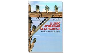 Coberta 'El lento aprendizaje de la paciencia', d'Esteban Martínez Serra. Eix