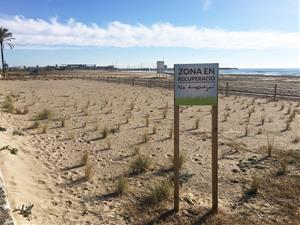 Costes finançarà al 100% el projecte per a la regeneració natural de les platges de Calafell. Ajuntament de Calafell
