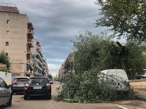 Destrosses a Vilanova per la tempesta que ha escombrat la comarca aquesta nit. Arbres caiguts, despreniments i inundacions