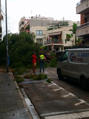 Destrosses a Vilanova per la tempesta que ha escombrat la comarca aquesta nit. Arbres caiguts, despreniments i inundacions