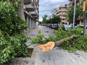 Destrosses a Vilanova per la tempesta que ha escombrat la comarca aquesta nit. Arbres caiguts, despreniments i inundacions