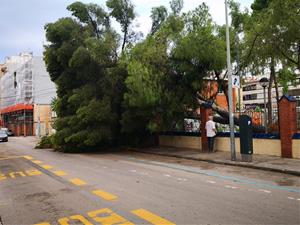 Destrosses a Vilanova per la tempesta que ha escombrat la comarca aquesta nit. Arbres caiguts, despreniments i inundacions