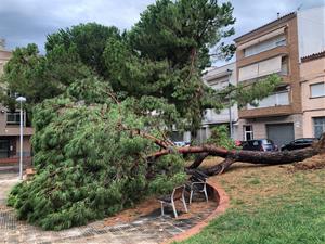 Destrosses al carrer, inundacions i despreniments per la tempesta que ha escombrat el Garraf i Baix Penedès aquesta nit