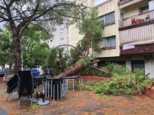 Destrosses al carrer, inundacions i despreniments per la tempesta que ha escombrat el Garraf i Baix Penedès aquesta nit