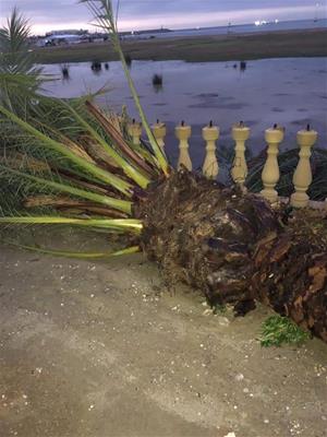 Destrosses al carrer, inundacions i despreniments per la tempesta que ha escombrat el Garraf i Baix Penedès aquesta nit