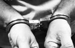 Detenen dos homes per cultivar unes 1.800 plantes de marihuana a la Bisbal del Penedès. Mossos d'Esquadra