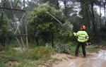 Drons, helicòpters i làser, tecnologia essencial per evitar incendis a les línies forestals. Endesa